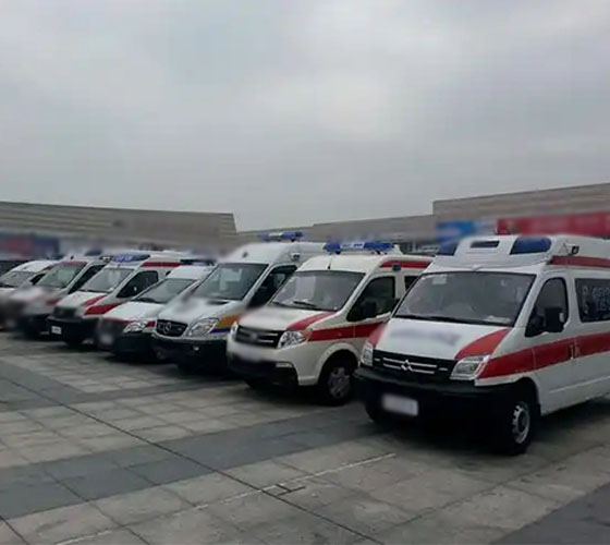 罗田县服务车队展示